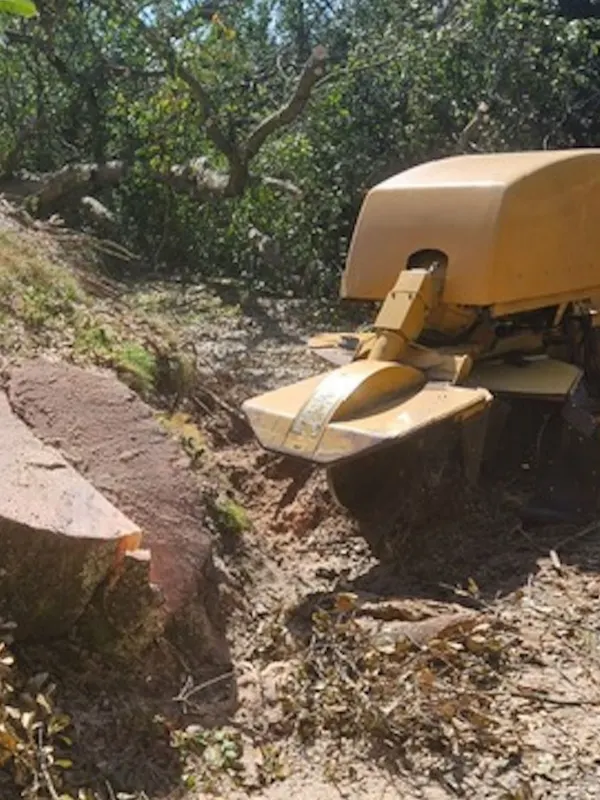 Stump Grinding